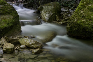 Velles escales de pedra llisa (fotopsia.cat)