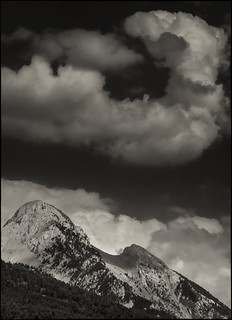 Pedra d'hores, fam de pluja (fotopsia.cat)