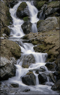 El torrent de la font blanca com la llet (fotopsia.cat)
