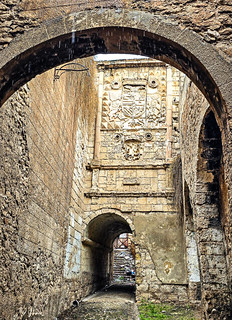 PUERTA DE ESPA&Ntilde;A - Or&aacute;n (JAVIER_GALLEGO)