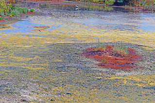 paisaje abstracto. (Luis M&ordf; Lainsa)