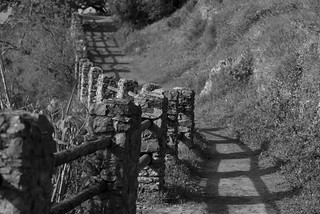 Lineas paralelas... (B.Rufo)