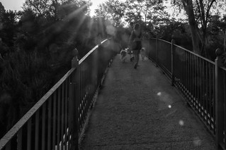 Destellos en el puente... (B.Rufo)