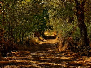 Por tierras castellanas (Santos M. R.)