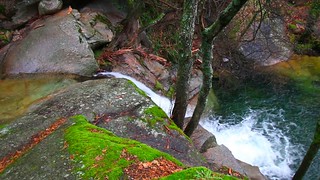 CHARCO LA HOYA (Jos&eacute; Antonio Domingo RODR&Iacute;GUEZ RODR&Iacute;GUEZ)