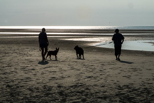Skaket Silhouettes (Robert Borden)