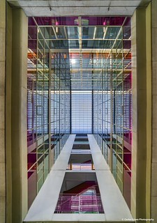 Atrio caleidosc&oacute;pico / Kaleidoscopic Atrium (carlosk75LM)