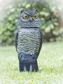 BUHO ESPANTAPAJAROS (BLAMANTI)