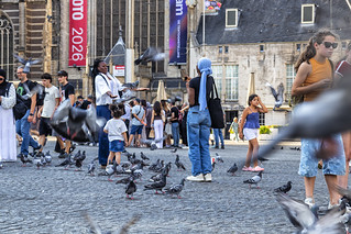 Entre palomas anda el juego (lebeauserge.es)