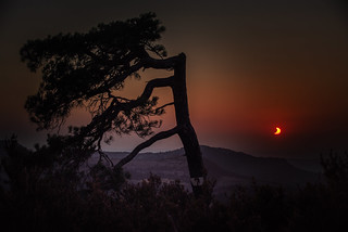 Eclipse (Saur&iacute;)