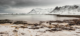 Lofoten. Norway (veltrahez)