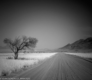 NAMIBIA IN B&W 2026 (Joan Gonz&aacute;lez_Miratges)