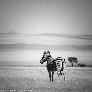 NAMIBIA IN B&W 2026 (Joan Gonz&aacute;lez_Miratges)