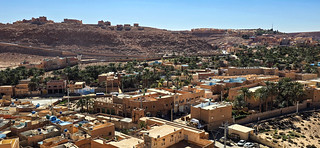 PALMERAL DE GHARDA&Iuml;A (JAVIER_GALLEGO)