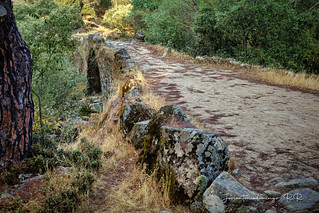 Puente Mocha (Jos&eacute; Antonio Domingo RODR&Iacute;GUEZ RODR&Iacute;GUEZ)