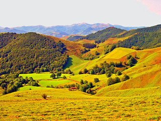 ALCURRUNZ. (Luis M&ordf; Lainsa)