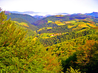 ALCURRUNZ. (Luis M&ordf; Lainsa)