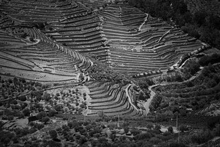Douro Geometry (marc.barrot)