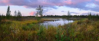 Panorama sunset on northern lake (Aleksandr Matveev)