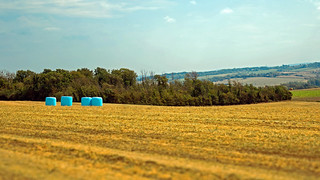 DSC_0219-2.jpg 1 . La vall&eacute;e du Denacre (yves62160)