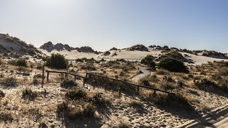 Parque Nacional de Do&ntilde;ana - JosCar - 050626 - 3 (3) (Jos&eacute; Carlos Cabello)