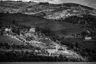 Rays of Light in the Valley (marc.barrot)