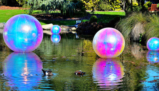 Christchurch Botanical Gardens, New Zealand. (Philip Wood Photography)