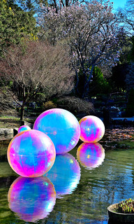 Christchurch Botanical Gardens, New Zealand. (Philip Wood Photography)