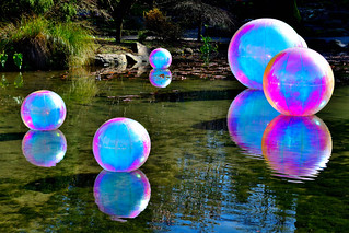 Christchurch Botanical Gardens, New Zealand. (Philip Wood Photography)