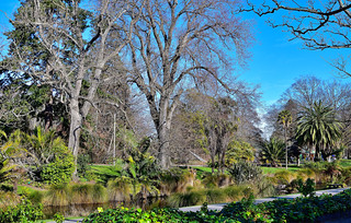 Christchurch Botanical Gardens, New Zealand. (Philip Wood Photography)