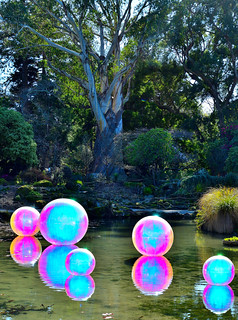 Christchurch Botanical Gardens, New Zealand. (Philip Wood Photography)