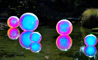 Christchurch Botanical Gardens, New Zealand. (Philip Wood Photography)