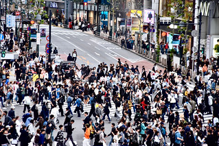 Shibuya crossing (bernard.saubot)