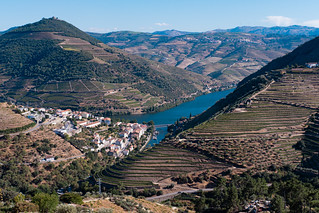 In the Vineyards Above Pinh&atilde;o (marc.barrot)