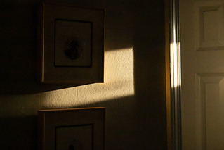 first sign of morning (Robert Borden)