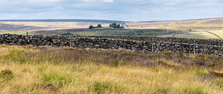 The moors near Haworth, Yorkshire (Bronte country) (philipwhitcombe)