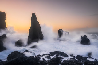 La Fuerza del Mar (Antonio Puche)