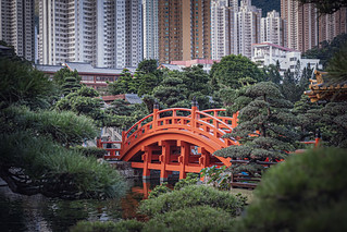 Perfect Bridge (marc.barrot)