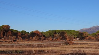 Pradera del Orej&uacute;o (Jos&eacute; Antonio Domingo RODR&Iacute;GUEZ RODR&Iacute;GUEZ)