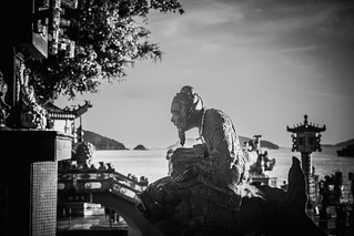 Wise Man on a Fish (marc.barrot)
