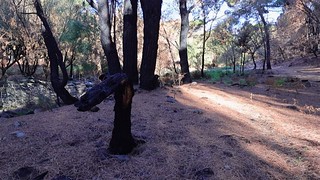 Paraje de las juntas (Jos&eacute; Antonio Domingo RODR&Iacute;GUEZ RODR&Iacute;GUEZ)