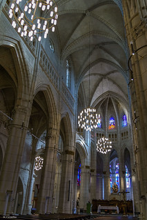 La nave central (Manuel C G)