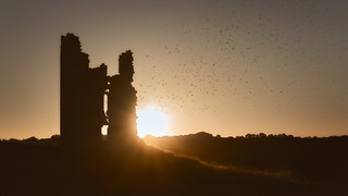 Amanecer Baigorri-Oteiza (DavidZurita)