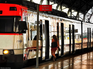 Cabeza de Tren (Guillermo LT)