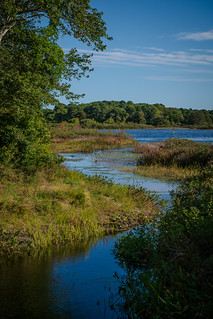 Plashes Pond (Robert Borden)