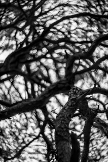 twisted ways (monokhromist)