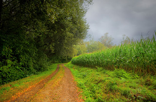 Por el Camino (marianobs)