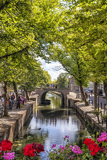 Arborescencia desde Spuistraat (lebeauserge.es)