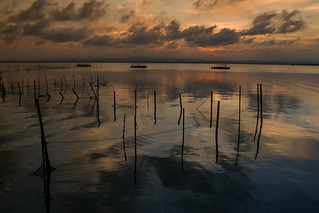 La Albufera, Valencia (svalenciasegovia)