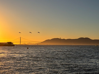 The Golden Gate (Robert Borden)